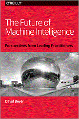 The Future of Machine Intelligence: Perspectives from Leading Practitioners
