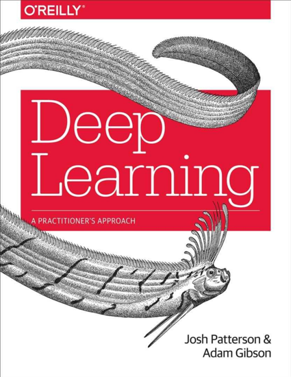 Deep Learning: A Practitioner’s Approach