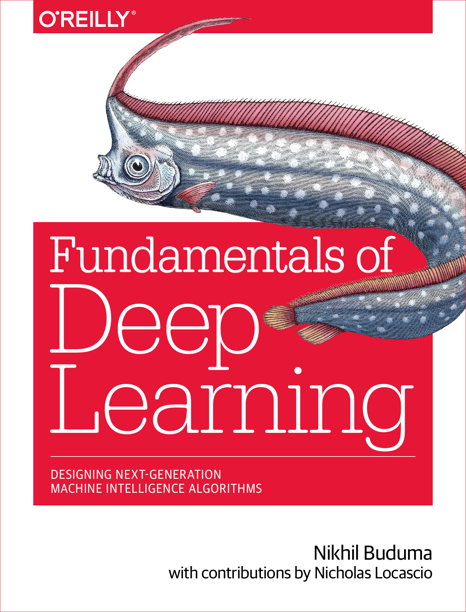 Fundamentals of Deep Learning: Designing Next-Generation Machine Intelligence Algorithms